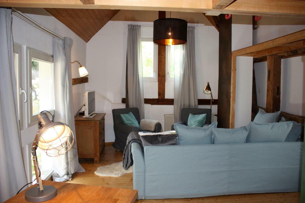 Sonnige Fachwerkwohnung Alfter 外观 照片