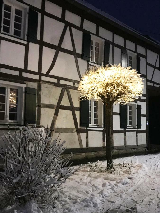 Sonnige Fachwerkwohnung Alfter 外观 照片
